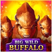 game logo by Belatra Games on slotravescasino.com